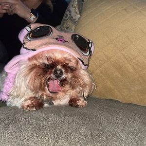 Meet your Posher, Ashley